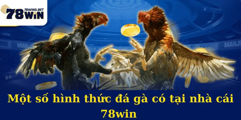 Một số hình thức đá gà có tại nhà cái 78win 