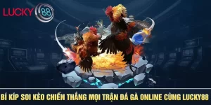 Bí kiếp soi kèo chiến thắng mọi trận đá gà online cùng luck8