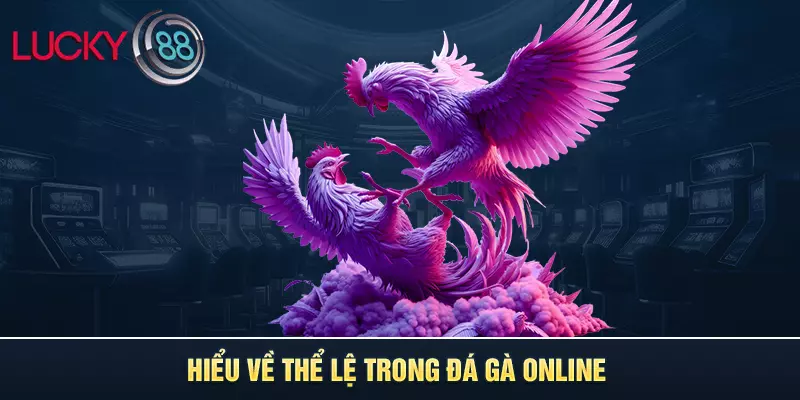 Hiểu về thể lệ trong đá gà online